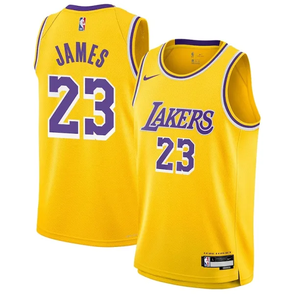 Anmutig Originell LeBron James Los Angeles Lakers Nike Youth Swingman Jersey Icon Edition Gold für Sportliebhaber